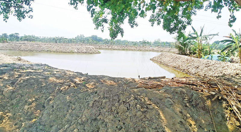 পুঠিয়ার কাইরার বিলে খনন করা পুকুর। সম্প্রতি চন্দ্রাবতী খালের পাশে