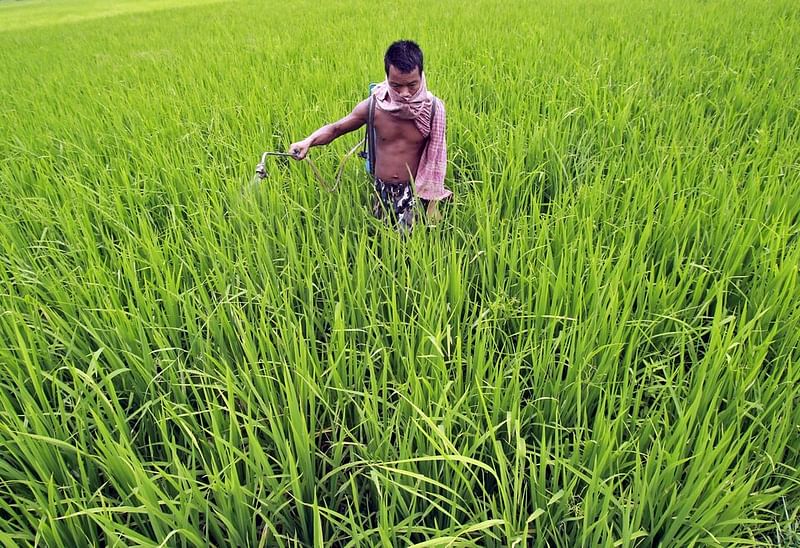 কার্বন ডাই-অক্সাইডের নিঃসরণ কমাতে সবুজ জ্বালানি সারের পেছনে ছুটছে বিশ্ব