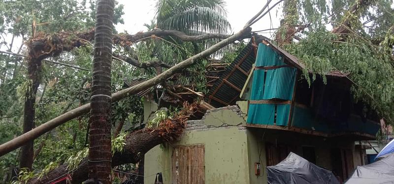 কালবৈশাখী ঝড়ে বসতঘরের ওপর গাছ ভেঙে পড়েছে। আজ রোববার সকালে পিরোজপুর পৌরসভার পালপাড়া মহল্লায়