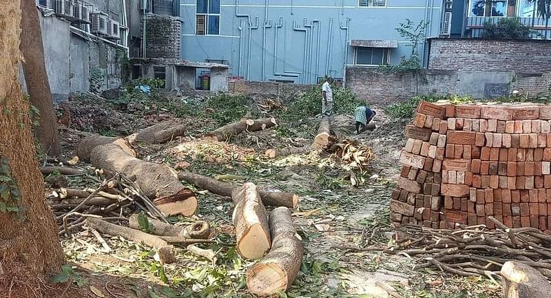 আওয়ামী লীগের কার্যালয় করতে জেলা প্রশাসনকে না জানিয়ে ইজারা নেওয়া জমির গাছ কাটা হয়েছে। আজ বুধবার রাজশাহী নগরের রানীবাজার এলাকায়