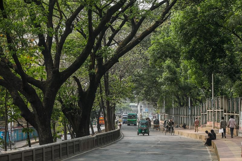 চট্টগ্রাম নগরে এলিভেটেড এক্সপ্রেসওয়ের র‍্যাম্প নির্মাণের জন্য সবুজে ঘেরা এই সড়কটির গাছ কাটার পরিকল্পনা করে সিডিএ