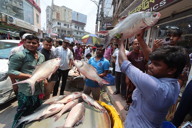 কুমিল্লা নগরের রাজগঞ্জ বাজারসহ আশপাশের সড়কে প্রতি বছর বৈশাখের প্রথম দিন বসে কাতল মাছের মেলা