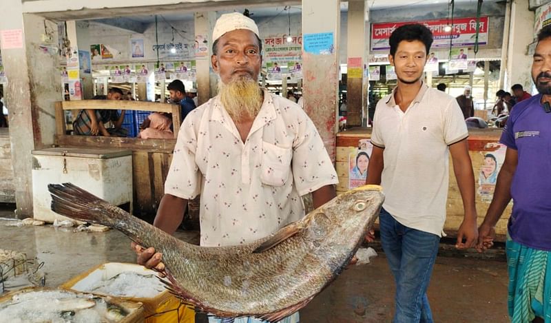 সাড়ে ২১ কেজি ওজনের জাভা ভোল মাছটি সাড়ে তিন লাখ টাকায় বিক্রি করা হয়েছে। আজ রোববার সকালে পাথরঘাটা মৎস্য অবতরণ কেন্দ্রে