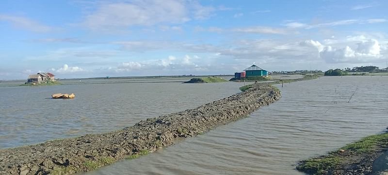 বেড়িবাঁধ না থাকায় স্বাভাবিক জোয়ারের পানিতে ডুবে গেছে গ্রামীণ জনপদ ও ঘরবাড়ি। ছবিটি সম্প্রতি ফেনীর সোনাগাজী উপজেলার দক্ষিণ পূর্ব চর চান্দিয়া এলাকা থেকে তোলা