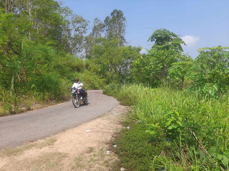 জঙ্গলে ঘেরা ১৯ কিলোমিটার দীর্ঘ মিরসরাই-নারায়ণহাট সড়ক ধরে যেতে যেতে চোখে পড়বে এমন চোখ জুড়ানো সবুজ।গতকাল সকালে তোলা