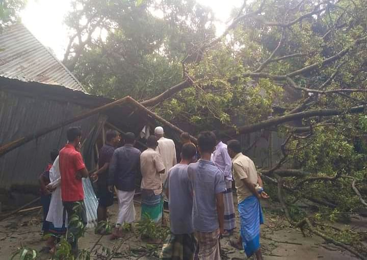 ঘরের ওপর গাছ উপড়ে পড়ায় মারা গেছেন এক অন্তঃসত্ত্বা নারী ও তাঁর শিশুসন্তান। আজ রোববার সকালে কিশোরগঞ্জের করিমগঞ্জ উপজেলার নিয়ামতপুর ইউনিয়নের ঘোনারবাড়ি গ্রামে