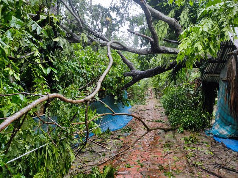 বাগেরহাটে ঝোড়ো বাতাসের কারণে বিভিন্ন এলাকায় অসংখ্য গাছপালা ভেঙে পড়ে। গতকাল শরণখোলা উপজেলার সাউথখালী ইউনিয়নের খুড়িয়াখালী এলাকায়