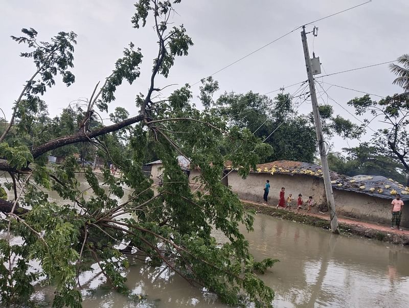 মহেশখালীতে ঝোড়ো হাওয়ার কবলে পড়ে গাছ উপড়ে পড়ে বিভিন্ন স্থানে। এতে পল্লী বিদ্যুতের তার ছিঁড়ে যায়।  ছবিটি  আজ সকালে হোয়ানক এলাকা থেকে তোলা