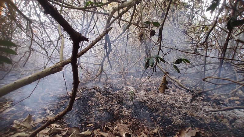 পুড়ে যাওয়া বন ধোঁয়ায় আচ্ছন্ন হয়ে আছে। গত শনিবার সন্ধ্যায় বাগেরহাটের মোরেলগঞ্জ উপজেলার আমোরবুনিয়ার লতিফের ছিলা এলাকায়