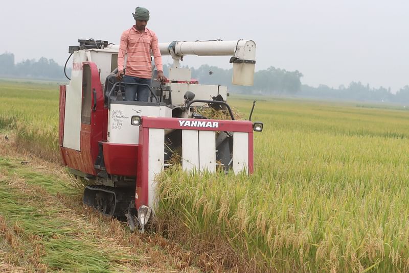 দ্রুত ধান কাটতে হারভেস্টার যন্ত্র ব্যবহার করছেন চাষিরা