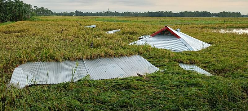 ঝড়ে ঘরের টিন উড়ে এসে পড়েছে ফসলি জমিতে। আজ সোমবার সকালে ব্রাহ্মণবাড়িয়ার নাসিরনগর উপজেলা সদরে