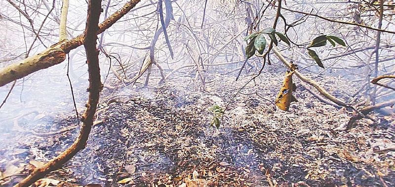 পুড়ে যাওয়া বন ধোঁয়ায় আচ্ছন্ন হয়ে আছে । চারপাশে তীব্র তাপ। গত শনিবার সন্ধ্যা ৬টা ২০ মিনিটে বাগেরহাটের মোরেলগঞ্জ উপজেলার আমোরবুনিয়ার লতিফের ছিলা এলাকা।