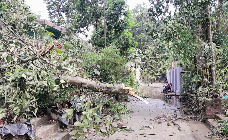 চট্টগ্রামের রাঙ্গুনিয়া উপজেলার পৌরসভার ইছামতি এলাকায় হঠাৎ ঝড়ো বাতাসে লন্ডভন্ড এলাকা। আজ সকাল ৯  টার দিকে তোলা ।