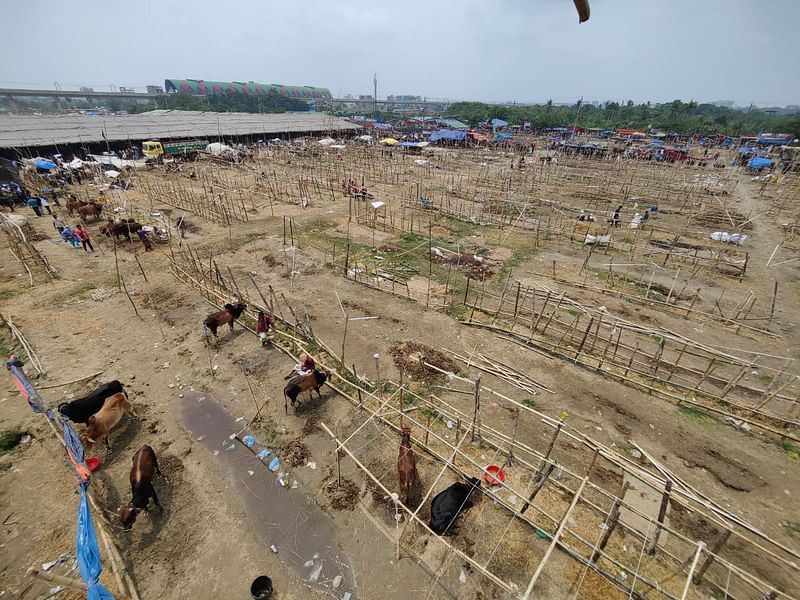 রাজধানীর উত্তরার দিয়াবাড়ি পশুর হাট। আজ রোববার বেলা ১১টার দিকে