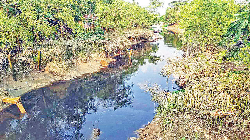 চট্টগ্রামের হাটহাজারীর পাঁচটি খাল হয়ে নগরীর কারখানার বিষাক্ত, তৈলাক্ত ও উৎকট দুর্গন্ধে ভরা বর্জ্য হালদা নদীতে মিশছে প্রতিনিয়ত। প্রজনন মৌসুমে কারখানার বর্জ্য হুমকির মাত্রা বাড়াচ্ছে মা মাছ ও নদীর জীববৈচিত্রের। গত রোববার বিকেলে দক্ষিণ মাদার্শা ইউনিয়নের মদুনাঘাট বাজারের ওয়াপদা কলোনি এলাকার কাটাখালী খালে