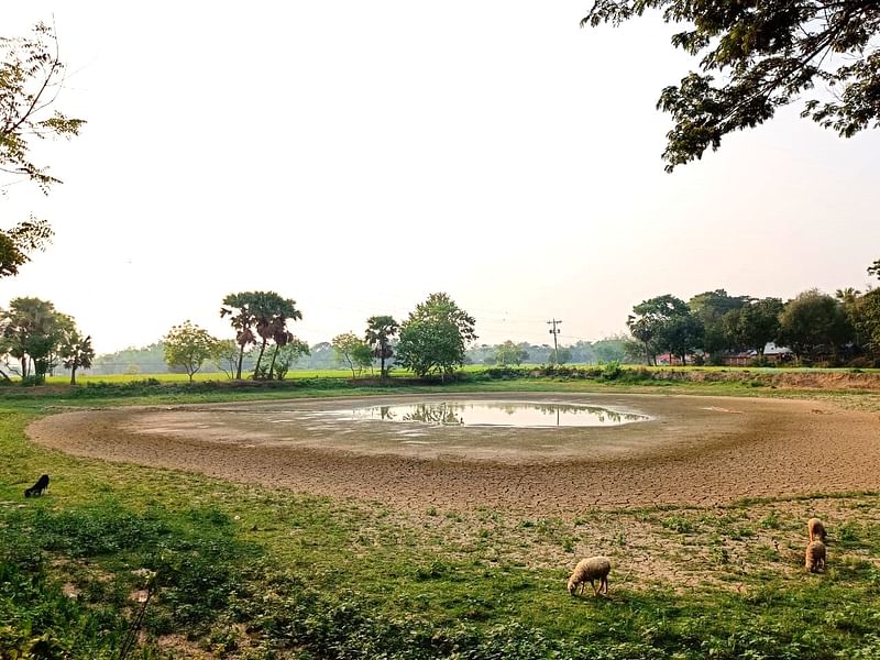 বরেন্দ্র অঞ্চলে শুকিয়ে যাওয়া জলাশয়