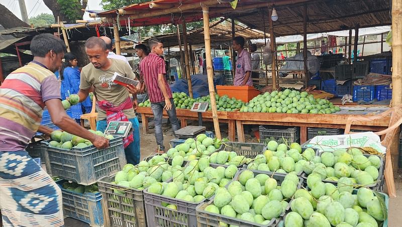 রাজশাহীর বানেশ্বর বাজারে আম কেনাবেচা চলছে। ঈদের পর লাফিয়ে বেড়েছে আমের দাম। বুধবার দুপুরে