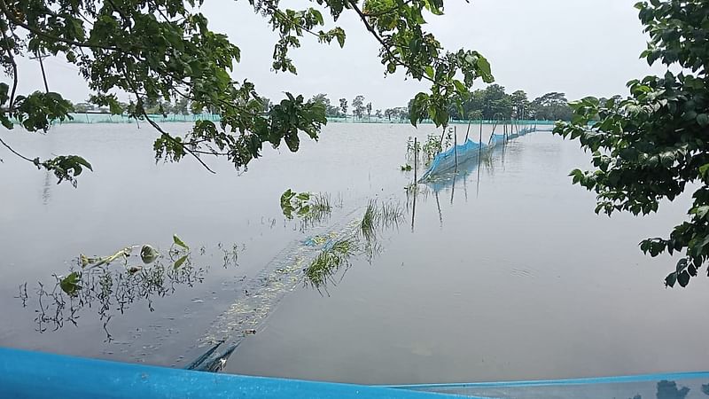 সুনামগঞ্জে বন্যায় কয়েক হাজার পুকুরের প্রায় ৪ হাজার মেট্রিক টন মাছ ও পোনা ভেসে গেছে। সম্প্রতি সদর উপজেলার বুড়িস্থল এলাকা থেকে তোলা