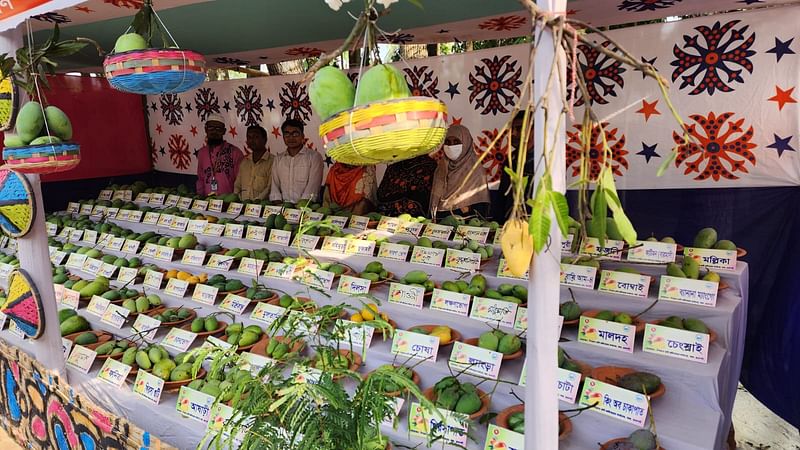 স্থানীয় ১৪৫ জাতের আম নিয়ে রাজশাহীর বাঘায় তিন দিনব্যাপী কৃষিপ্রযুক্তি মেলা অনুষ্ঠিত হয়েছে। শনিবার বিকেলে