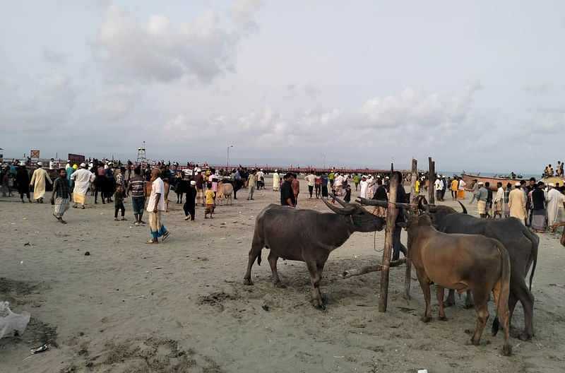 সেন্ট মার্টিন জেটির দক্ষিণ পাশে গত শনিবার বিকেলে বসে কোরবানির পশুর অস্থায়ী হাট। এতে হাতেগোনা কিছু পশু তোলা হয় বিক্রির জন্য