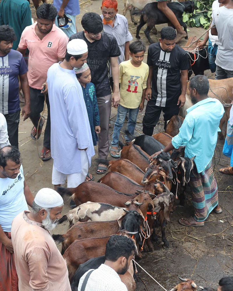 পবিত্র ঈদুল আজহা উপলক্ষে শেষ মুহূর্তে কোরবানির পশু কিনতে ভিড় করেন ক্রেতারা। আজ বেলা সাড়ে ১১টায় চট্টগ্রাম নগরের সাগরিকা পশু হাটে