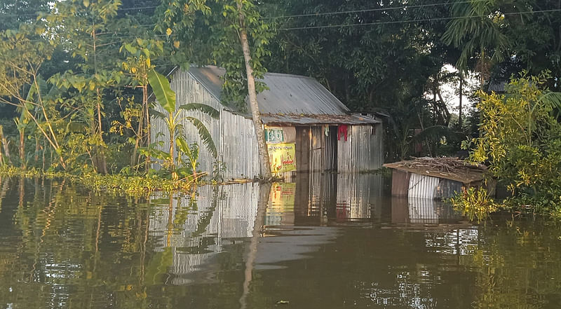 বাঁশ, কচুরিপানা দিয়ে আফাল থেকে ঘরের মাটির ভিটা, বেড়া টিকিয়ে রাখার চেষ্টা করেন হাকালুকি হাওরপারের বাসিন্দারা। শনিবার মৌলভীবাজারের বড়লেখার হাকালুকিপারের তালিমপুর ইউনিয়নের মুর্শিবাদকুরা গ্রামে