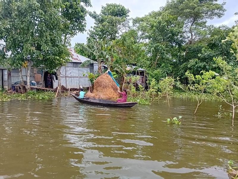 পানির তোড়ে দিনমজুর নিত্য বিশ্বাসের কাঁচা ঘরের মাটি ধসে গেছে। ভেঙে গেছে টিনের বেড়া। রাতে বিষধর সাপের ভয়ে নির্ঘুম রাত কাটে তাঁদের। শনিবার দুপুরে মৌলভীবাজারের জুড়ী উপজেলায় ভাটি শাহপুর এলাকায়