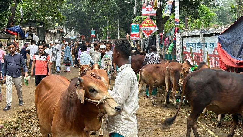 ক্রেতারা আসছেন, দাম জানতে চাইছেন। ঘুরে ঘুরে বাজার যাচাই করছেন তারা