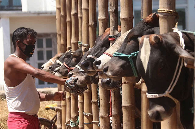 মৎস্য ও প্রাণিসম্পদ মন্ত্রণালয়ের তথ্য অনুযায়ী, এবারের পবিত্র ঈদুল আজহায় দেশে ১ কোটি ৪ লাখ ৮ হাজার ৯১৮টি পশু কোরবানি হয়েছে