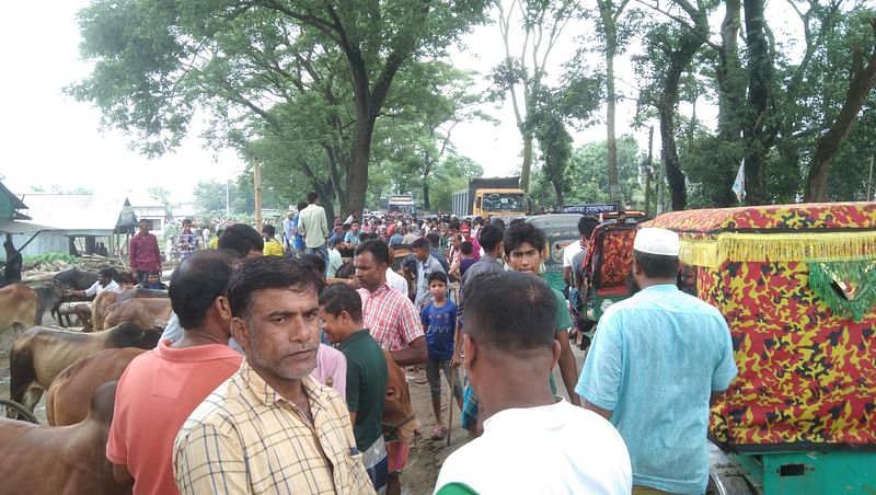 ব্রাহ্মণবাড়িয়ার সরাইল-নাসিরনগর-লাখাই আঞ্চলিক মহাসড়কের ওপর বসেছে পশুর হাট। শুক্রবার দুপুরে সরাইল উপজেলার কালীকচ্ছ বাজার এলাকায়