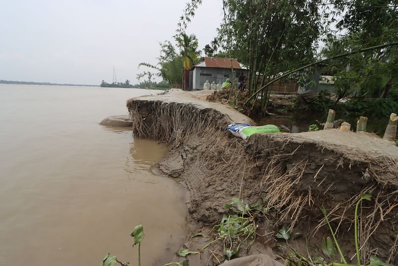 তিস্তা নদীর পানি কমায় ভাঙন বেড়েছে। আজ শনিবার সকালে রংপুরের কাউনিয়া উপজেলার গদাই এলাকায়