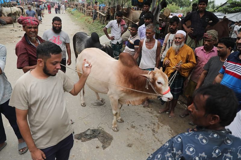 উত্তরা দিয়াবাড়ি হাটে গরু কিনছেন ক্রেতারা