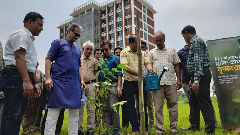 বিশ্ব পরিবেশ দিবস উপলক্ষে বিভিন্ন প্রজাতির গাছের চারা রোপণ করেছে তরুপল্লব নামের একটি সংগঠন। শেখ হাসিনা পল্লি উন্নয়ন একাডেমি প্রাঙ্গণ, জামালপুর, ৫ জুন