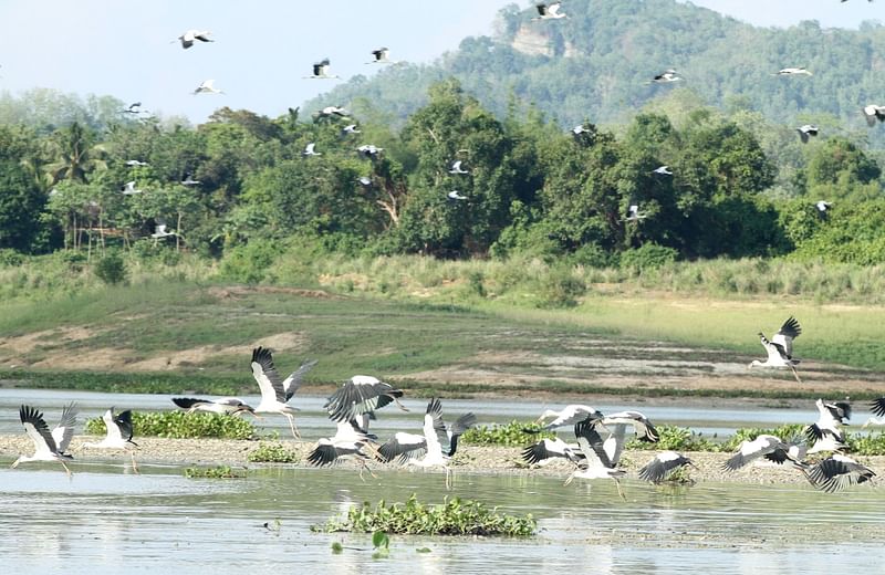 কাপ্তাই হ্রদের পানি শুকিয়ে যাওয়ায় অগভীর পানিতে দেখা মিলছে প্রচুর শামুক, ঝিনুক ও জলজ প্রাণীর। এসব প্রাণী পাখিদের খাদ্য। এ কারণে দূর থেকে ছুটে আসছে শাকখোলসহ নানা জাতের পাখি। রাঙামাটি সদরের বালুখালী এলাকার কাপ্তাই হ্রদে