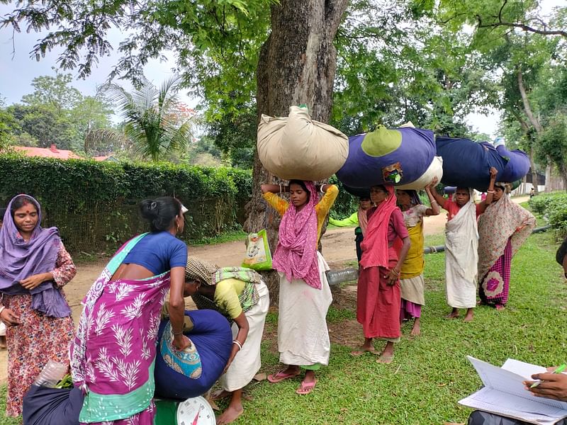 চা পাতা নিয়ে যাচ্ছেন শ্রমিকেরা। শ্রীমঙ্গলের চা বাগান থেকে সম্প্রতি ছবিটি তোলা