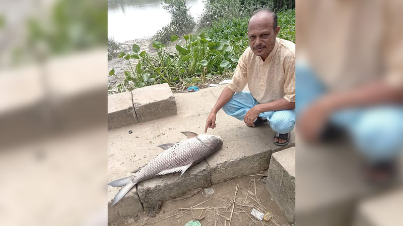 হালদা নদীতে এবার ১০ কেজি ওজনের একটি মা রুই মাছ  মরে ভেসে উঠেছে। আজ বেলা দুইটার দিকে রাউজান উপজেলার উরকিরচর ইউনিয়নের  বাকর আলী চৌধুরী ঘাট এলাকায়