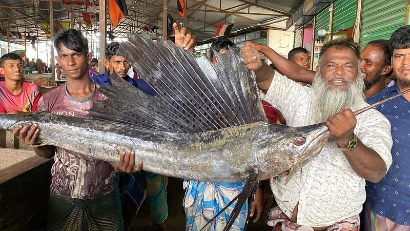 নোয়াখালীর হাতিয়ার মেঘনায় জেলেদের জালে ধরা পড়া উড়ুক্কু মাছ। আজ দুপুরে