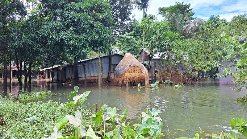 বন্যার পানিতে ভাসছে সিলেটের কোম্পানীগঞ্জ উপজেলার শিমুলতলা গুচ্ছগ্রাম। শনিবার দুপুরে তোলা ছবি