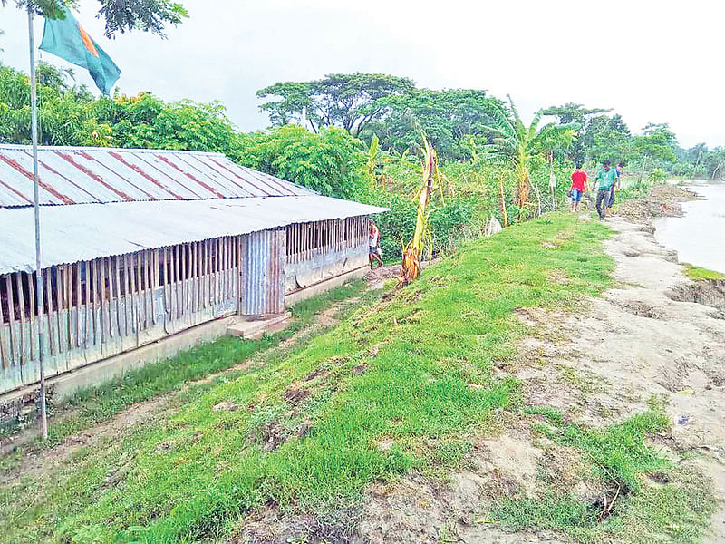 ভাঙনঝুঁকিতে রয়েছে পটুয়াখালীর মির্জাগঞ্জ উপজেলার পিপরাখালী সরকারি প্রাথমিক বিদ্যালয়