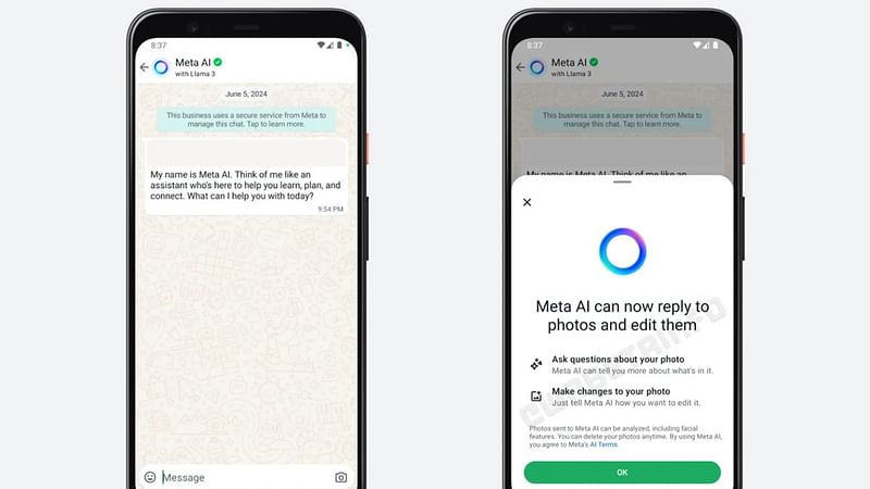 মেটার এআই চ্যাটবট ব্যবহার করে স্বয়ংক্রিয়ভাবে ছবি সম্পাদনা করা যাবে হোয়াটসঅ্যাপে