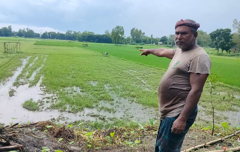 দখল করে নেওয়া জমি দেখাচ্ছেন ভুক্তভোগী ভ্যানচালক তারা মিয়া। শুক্রবার দুপুরে মানিকগঞ্জের সাটুরিয়ার তিল্লী ইউনিয়নের নিকাশী এলাকায়