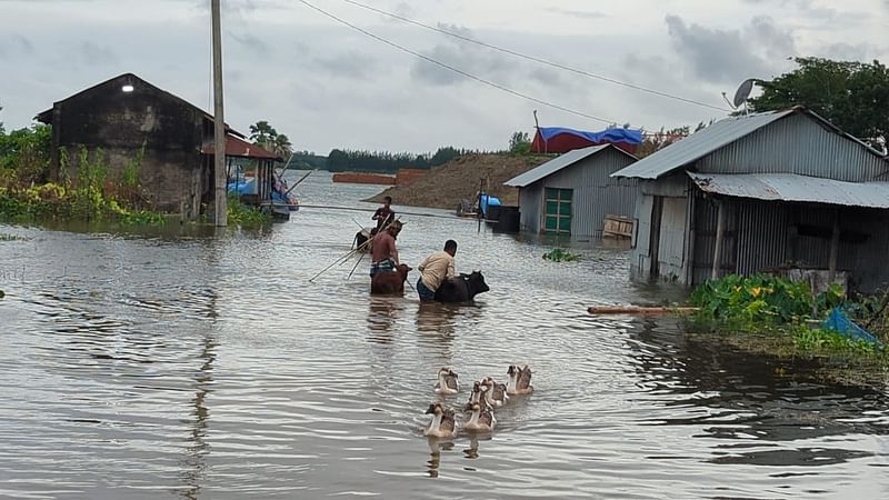 বন্যার পানি বেড়ে যাওয়ায় ভোগান্তিতে পড়েছেন হাজারো মানুষ। বাড়ির আঙিনা ও ঘরে পানি আর পানি। কমলনগর উপজেলার চর কাদিরায় আজ শনিবার দুপুরে