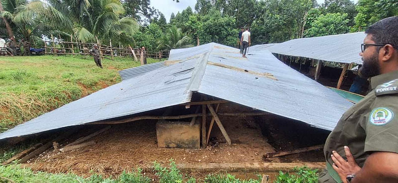 চট্টগ্রামের রাঙ্গুনিয়ায় সাবেক পররাষ্ট্রমন্ত্রী হাছান মাহমুদের ছোট ভাই এরশাদ মাহমুদের দখলে থাকা বন বিভাগের মালিকানাধীন ৫৫ একর জায়গা উদ্ধার করা হয়েছে। আজ দুপুরে