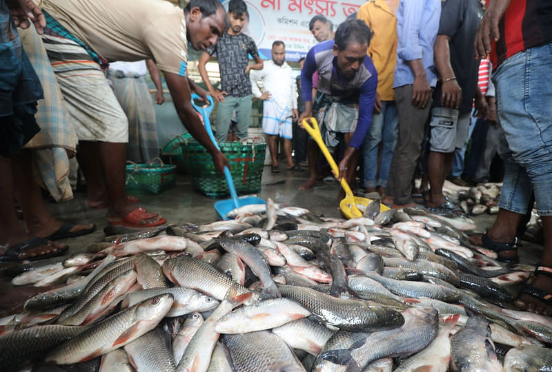 সাগরে জেলেদের জালে ধরা পড়া মিঠা পানির রুই–কাতলা স্তূপ করে রাখা হচ্ছে। আজ বিকেল সাড়ে চারটায় চট্টগ্রাম নগরের রাসমনী ঘাটে