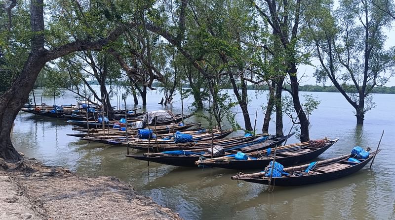 সুন্দরবনের ভেতরে মাছ ও কাঁকড়া ধরতে যাওয়ার নৌকা। সুন্দরবন-সংলগ্ন শাকবাড়িয়া নদীর তীরে