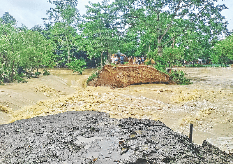 বানের তোড়ে ভেসে যাচ্ছে গাছগাছালি। ঝুঁকিপূর্ণ অবস্থায় অন্য গাছগুলো। গত ২২ আগস্ট ব্রাহ্মণবাড়িয়ার আখাউড়ার কর্নেল বাজার ইটনা এলাকায়