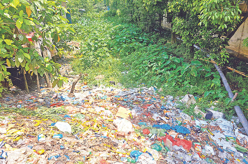 পটুয়াখালীর দুমকি উপজেলার পীরতলা খালে ময়লা–আবর্জনা ফেলে ভাগাড়ে পরিণত করা হয়েছে