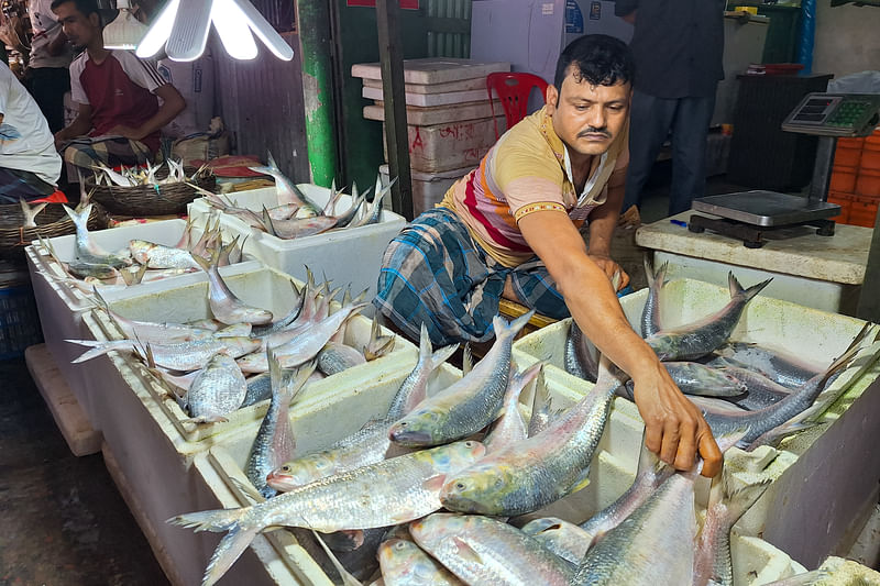 ককশিটের বাক্সে ইলিশ সাজিয়ে রাখছেন এক খুচরা বিক্রেতা