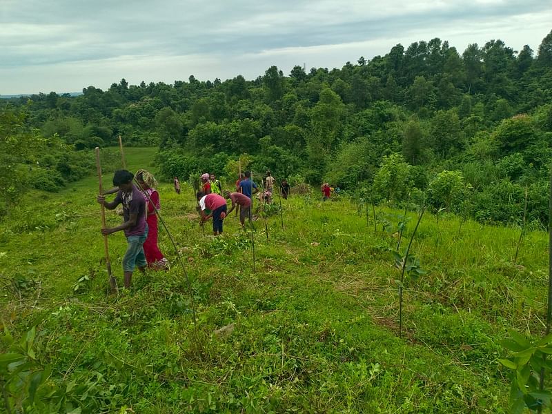 সাবেক কৃষিমন্ত্রী আব্দুস শহীদের দখলে থাকা লাউয়াছড়ার পাঁচ একর জায়গা পুনরুদ্ধার করেছে বন বিভাগ। সেখানে লেবু গাছগুলো কেটে বন্যপ্রাণীর খাদ্য উপযোগী গাছের চারা লাগানো হয়। রোববার দুপুরে মৌলভীবাজারের লাউয়াছড়া জাতীয় উদ্যানে