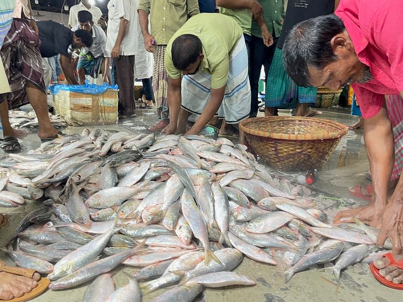 চাঁদপুরে ইলিশের খুচরা ও পাইকারি বাজার চাঁদপুর বড়স্টেশন মাছঘাটে এই মাছের দাম বেড়েছে